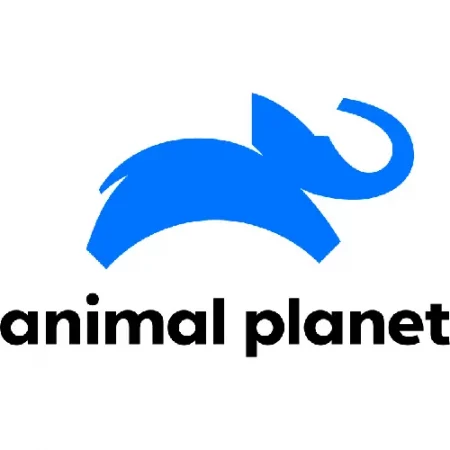 Animal Planet dekbedovertrekken