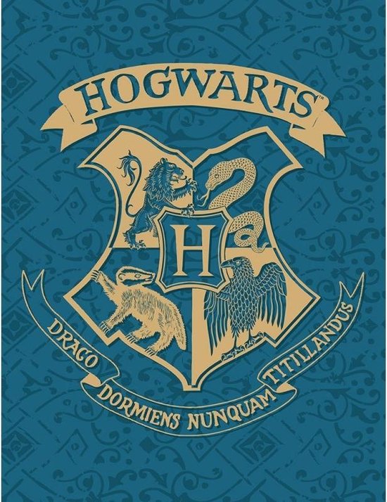 Harry Potter fleece plaid 130 x 170 cm