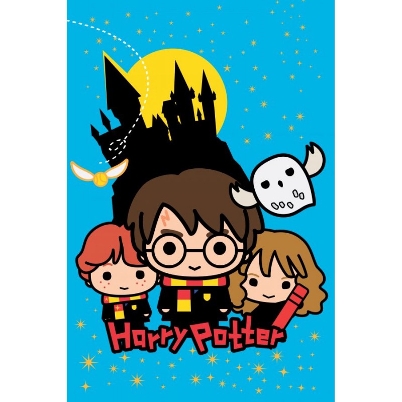 Harry Potter Fleece Deken, Zweinstein - 100 x 150 cm - Polyester