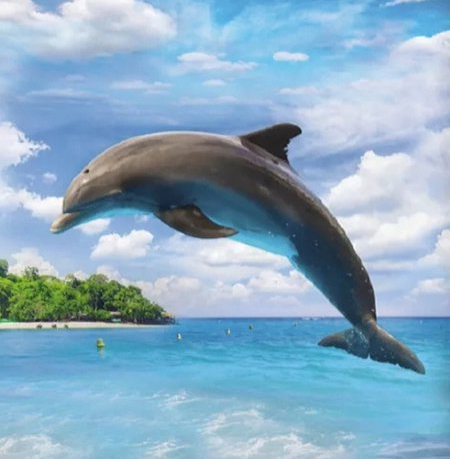 Dolfijn dekbedovertrekken