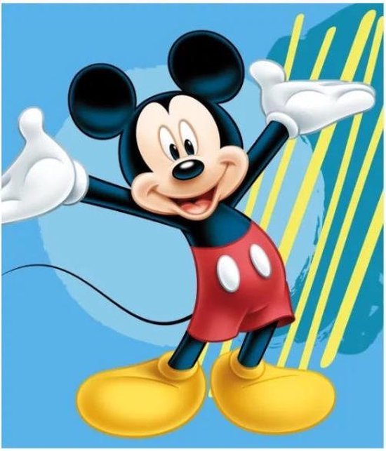 Mickey Mouse fleece Plaid 120 x 140 cm