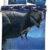 World of Dinosaurs dekbedovertrek blauw 140 x 200 cm polyester