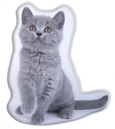 Kitten sierkussen grijs 33X37 cm