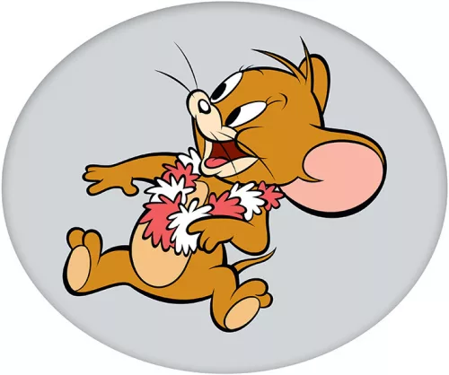 Tom & Jerry sierkussen Jerry 35cm