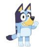 Bluey sierkussen Bluey
