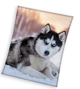 Coral husky fleece plaid wit 150x200