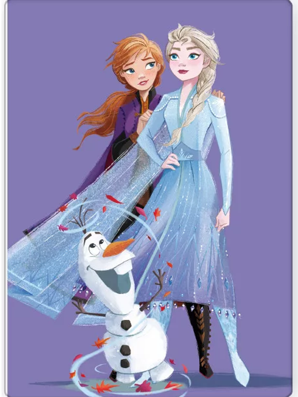 Disney Frozen Plaid - 100 x 140cm - Fleece Deken - Frozen Fleecedeken - Cadeau Meisje 5 Jaar - Cadeau Meisje 3 Jaar - Verjaardagscadeau Meisje - Cadeau Kind