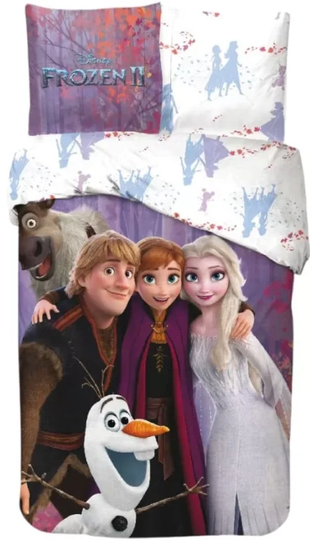 Disney Frozen Magic Team bedding set 140×200cm, 65x65 cm