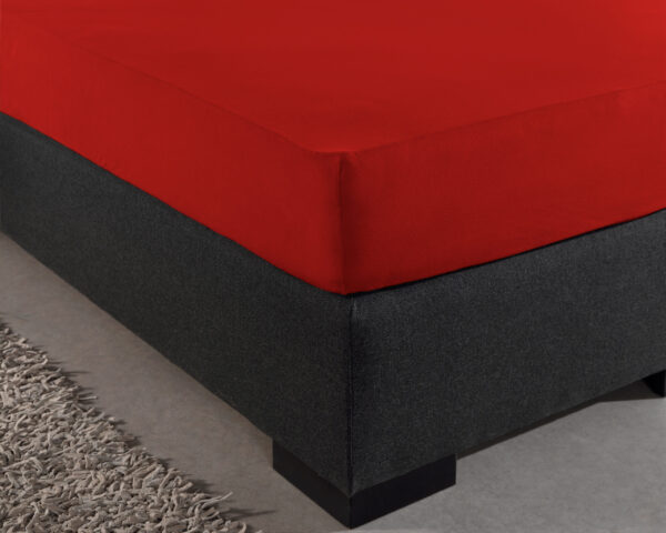 Dreamhouse Enkel Jersey 135 gr. Hoeslaken Rood 140 x 200 - Afbeelding 4