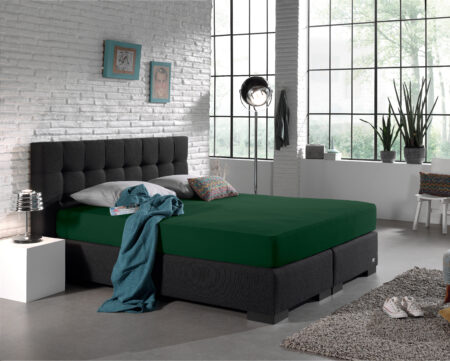 Enkel Jersey 135 gr. Hoeslaken Botanisch Groen 80/100 x 200