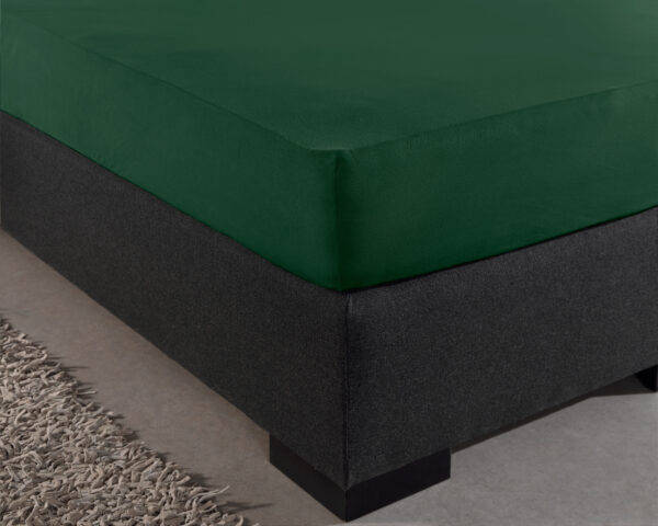Enkel Jersey 135 gr. Hoeslaken Botanisch Groen 80/100 x 200