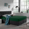 Enkel Jersey 135 gr. Hoeslaken Botanisch Groen 140 x 200