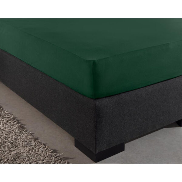 Dreamhouse Dubbel Jersey 220 gr. Hoeslaken Botanisch Groen 140 x 200/220 cm - Afbeelding 4