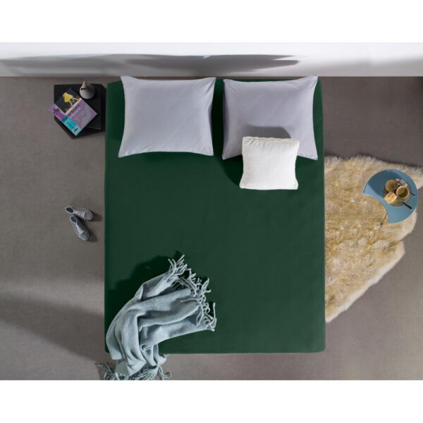 Dreamhouse Dubbel Jersey 220 gr. Hoeslaken Botanisch Groen 140 x 200/220 cm - Afbeelding 5