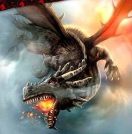 Draken dekbedovertrek