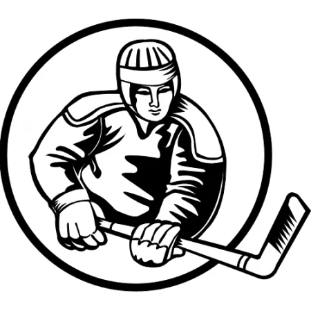 IJshockey dekbedovertrekken