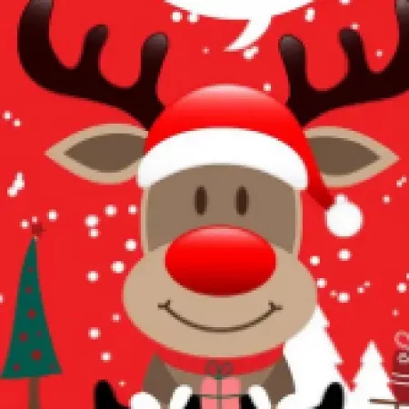 Rendieren dekbedovertrek