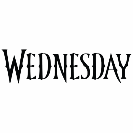 Wednesday kussen
