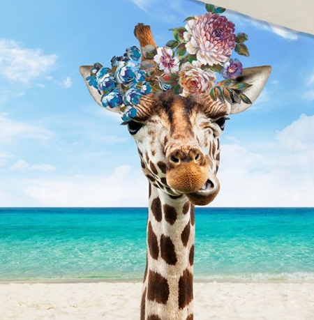 Giraffen dekbedovertrek