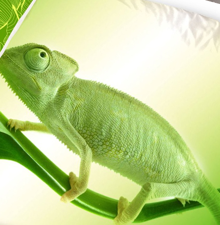 Kameleons dekbedovertrek