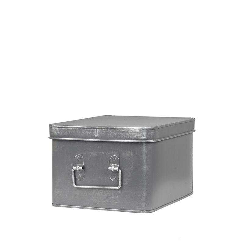 LABEL51 Media Opbergkist - Antiek grijs - Metaal - L Media Opbergkist