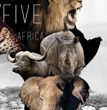 Neushoorns dekbedovertrek