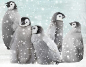 Good Morning Kinderdekbedovertrek "pinguins" - Blauw - (140x200/220 cm) - Katoen Flanel