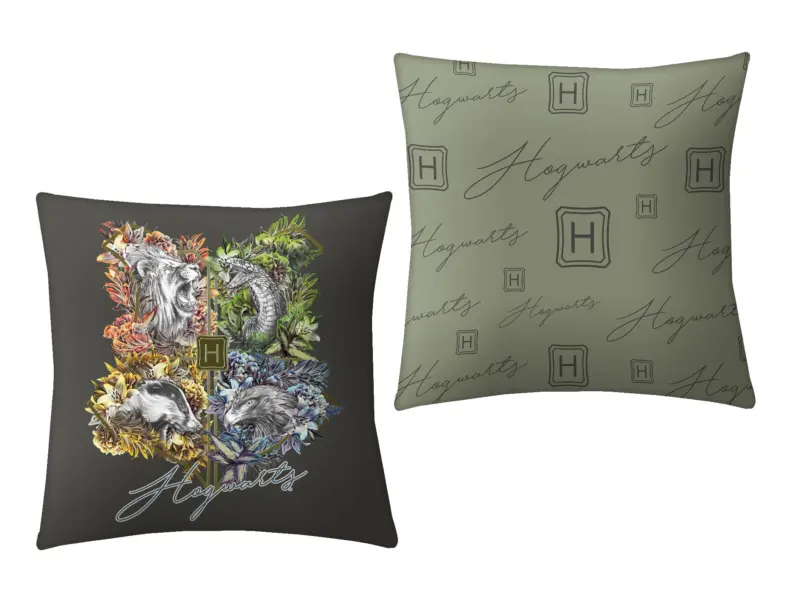 Harry Potter sierkussen  40 x 40 cm
