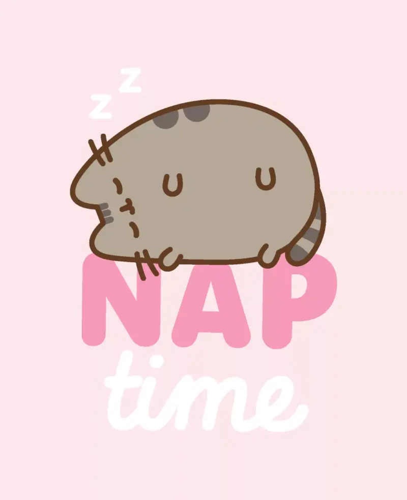 Pusheen fleeceplaid NAP 130x160cm
