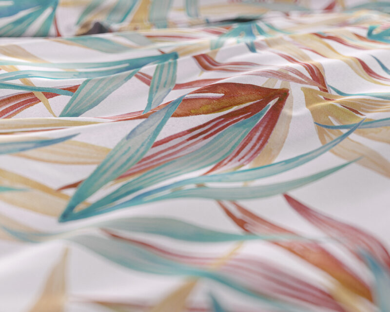 Dreamhouse Aster Multi 240 x 220