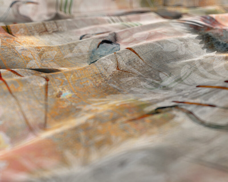 Dreamhouse Dahila Multi 240 x 220