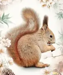 Eekhoorn dekbedovertrek